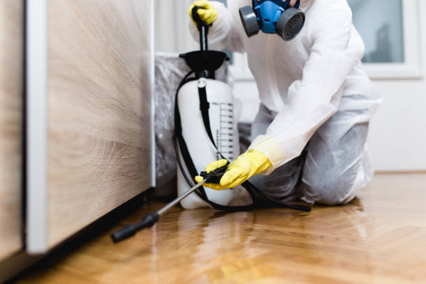 Best Pest Inspection Near Me  in Sterling, KS