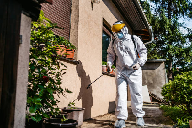 Best Termite Control Services  in Sterling, KS