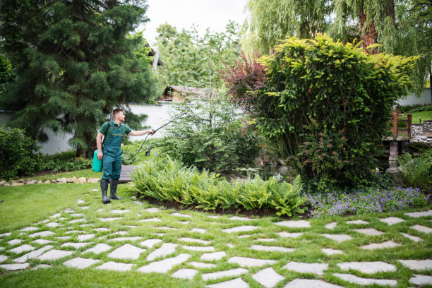 Best Mosquito Control Services  in Sterling, KS