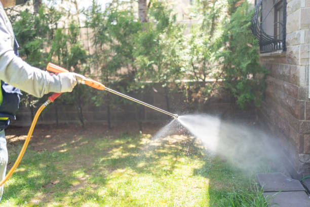 Best Flea Control Services  in Sterling, KS