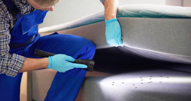 Best Wasp Removal Services  in Sterling, KS