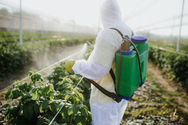 Best Bed Bug Extermination  in Sterling, KS